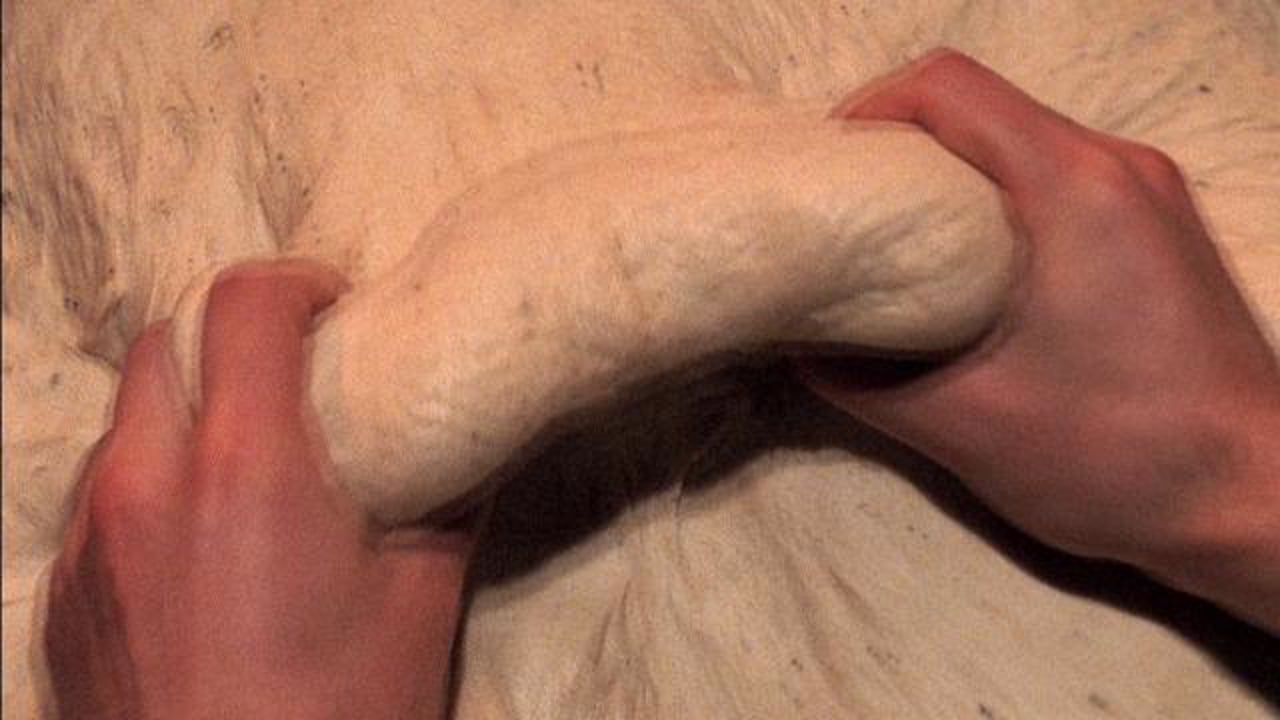 The Lucky Baker